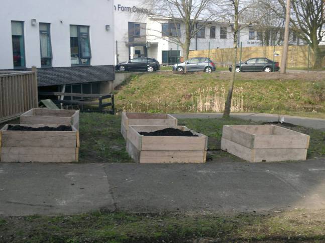 More raised beds