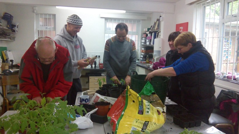 NH Potting up and seed sowing